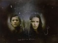 /album/fenykepgaleria/richard-and-kahlan-wallpaper-legend-of-the-seeker-3849526-1024-768-jpg/
